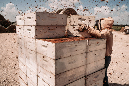 Texas Wildflower Honey 32oz