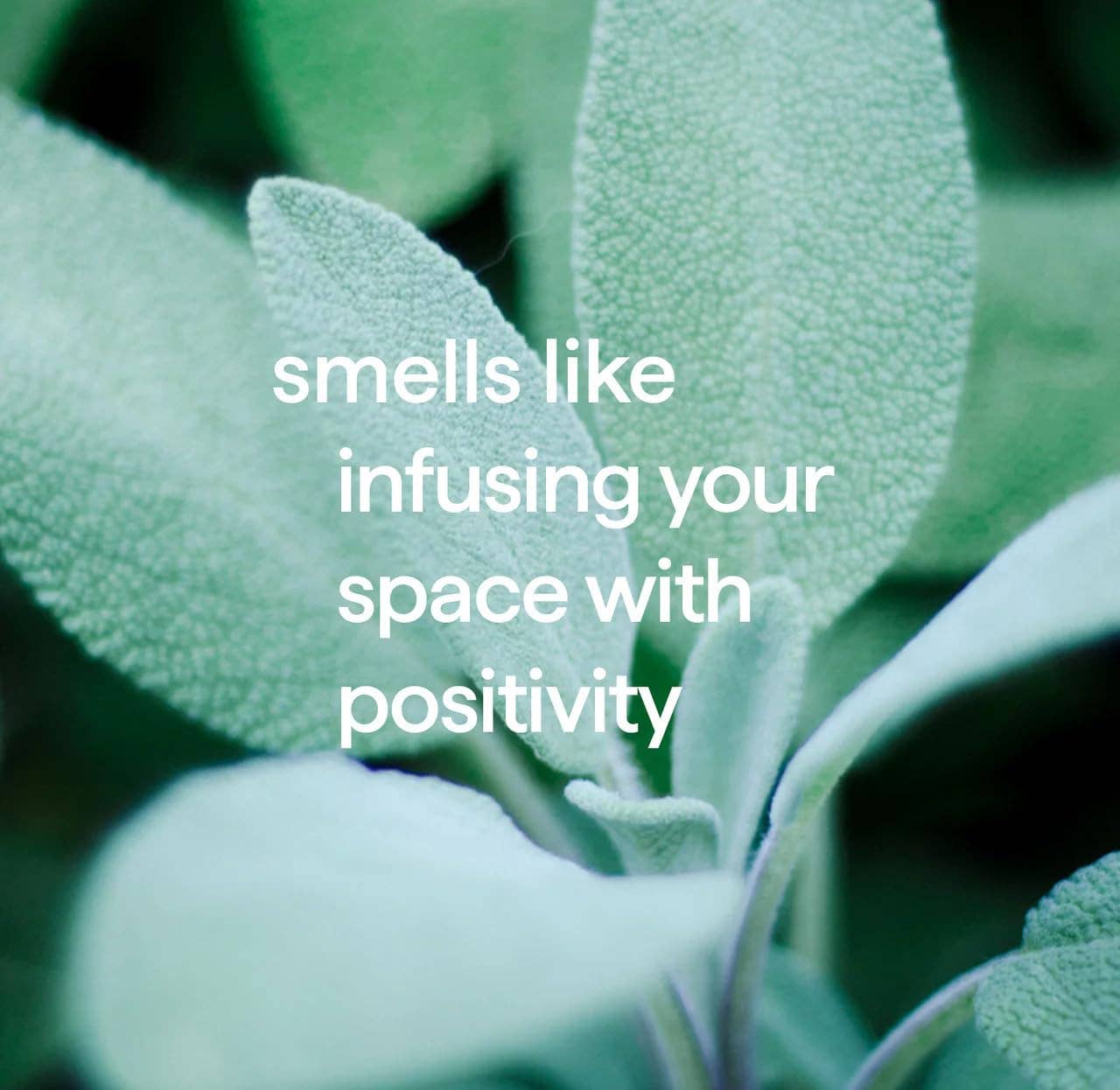 Method Gel Hand Wash, Premium Aluminum Pump Bottle, Sage + Wild Mint, 12 Oz