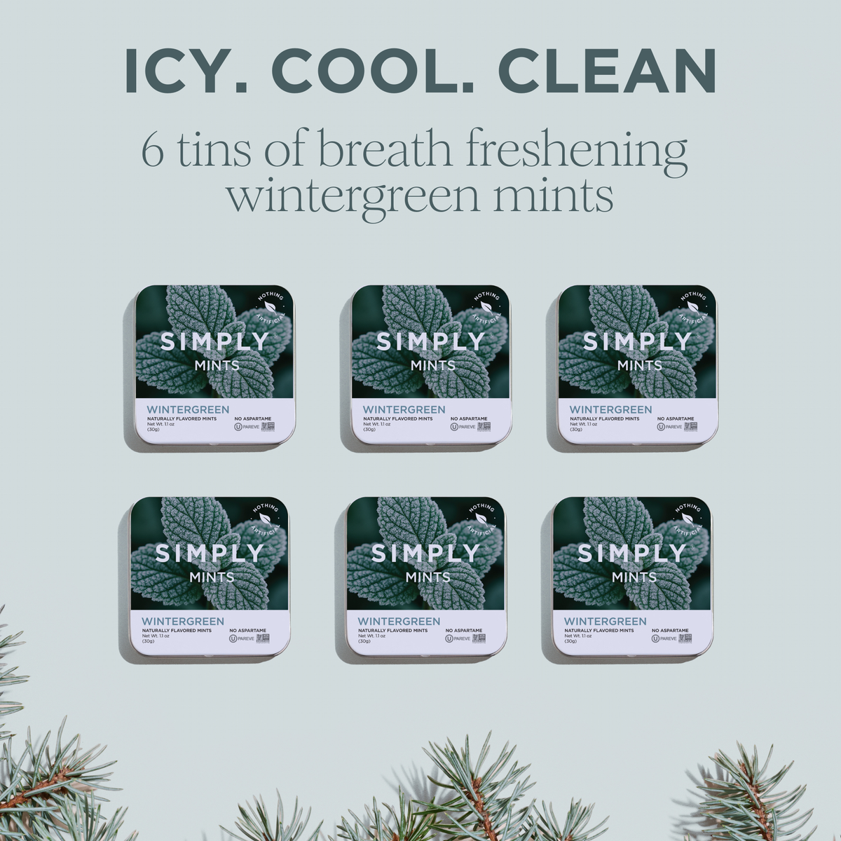 Simply Mints - Wintergreen | Pack of Six