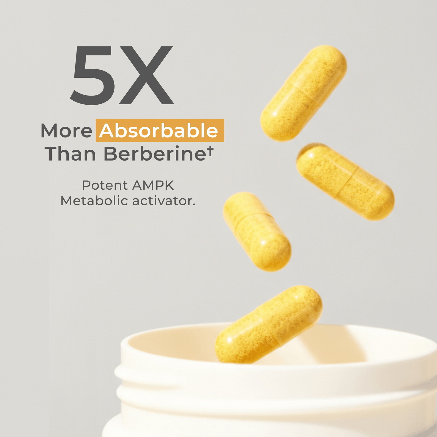 Dihydroberberine Capsules