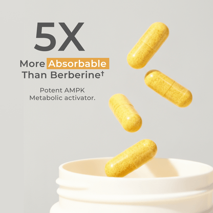 Dihydroberberine Capsules