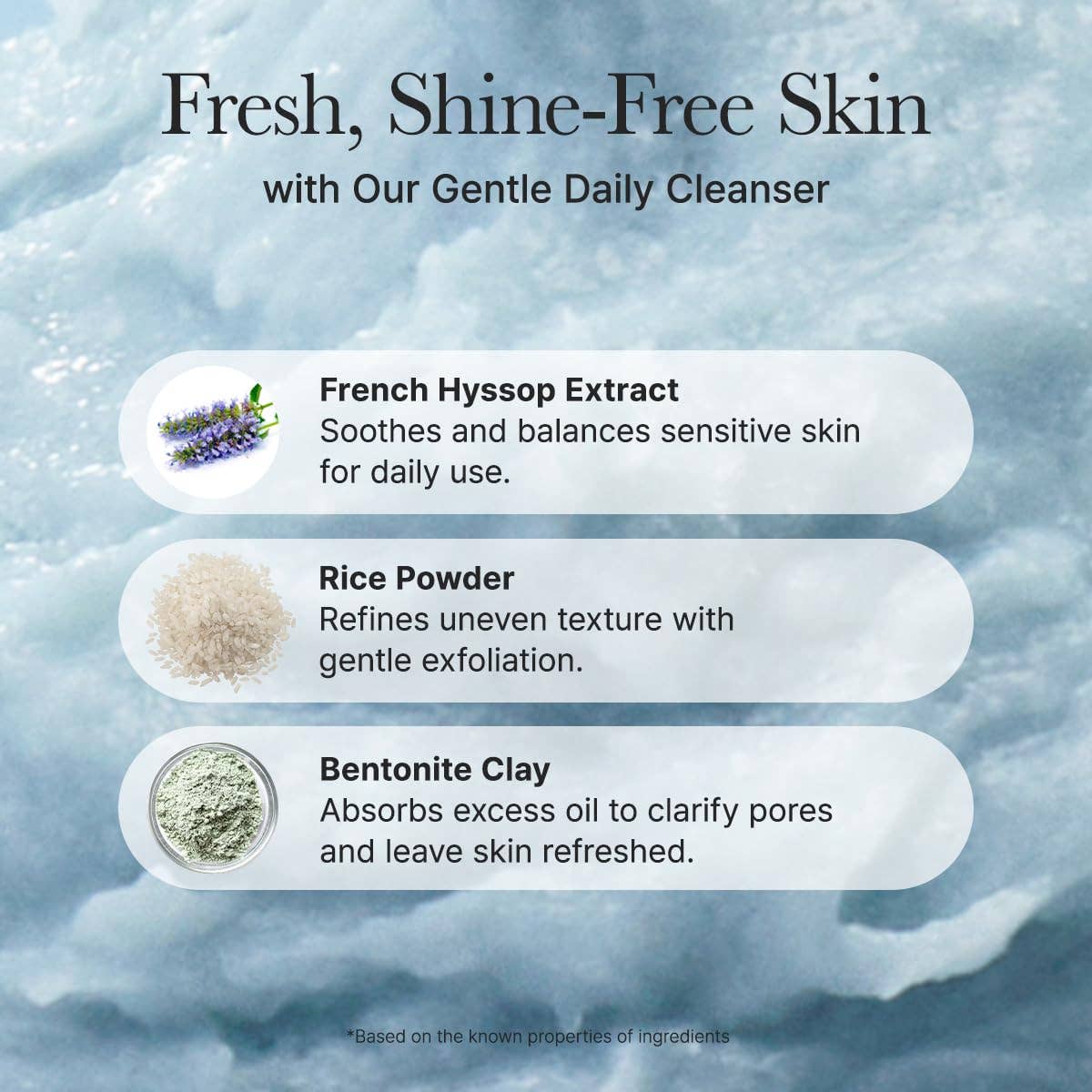Arencia Fresh Blue Hyssop Rice Mochi Cleanser 4.23oz | Wholsale K-Beauty