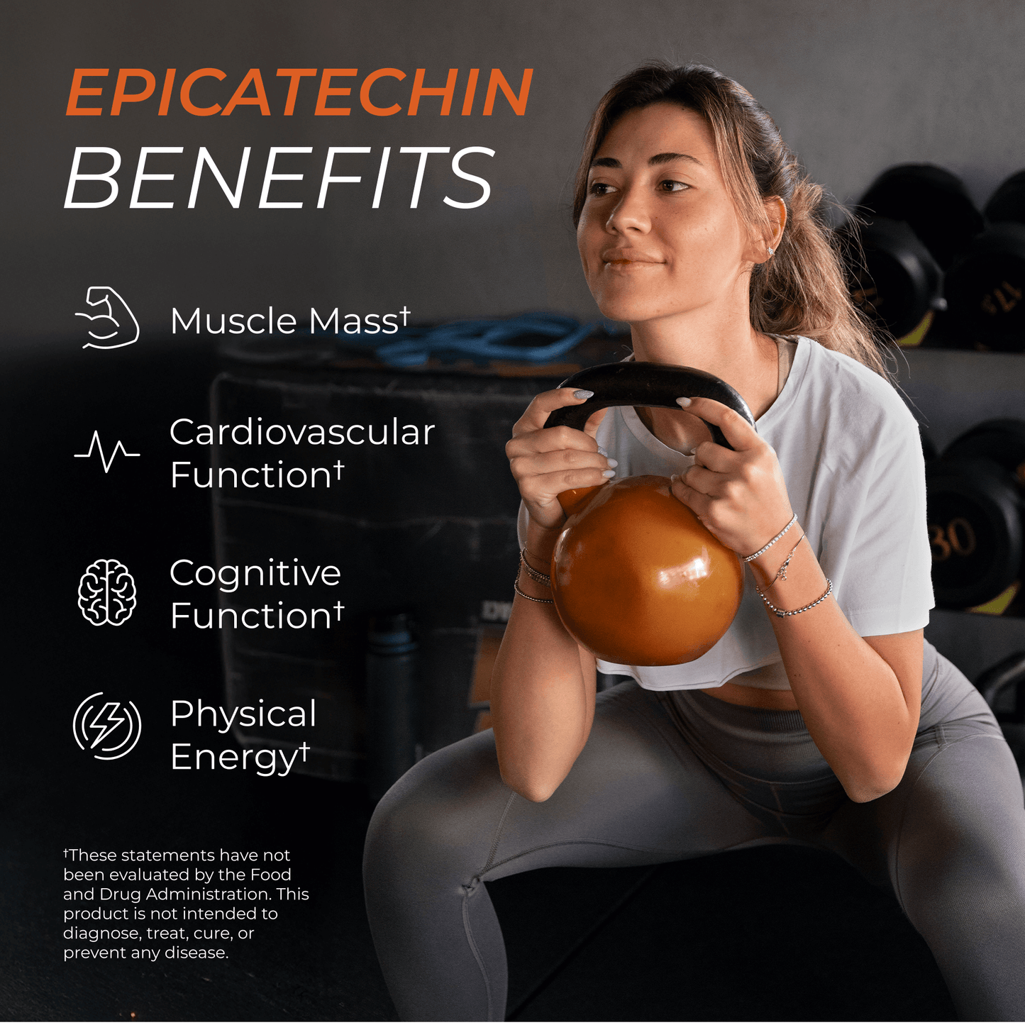 Epicatechin Supplement