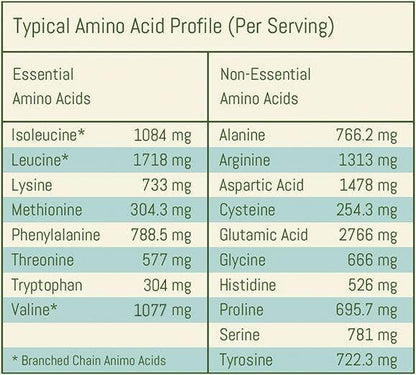 Natural Protein Blend