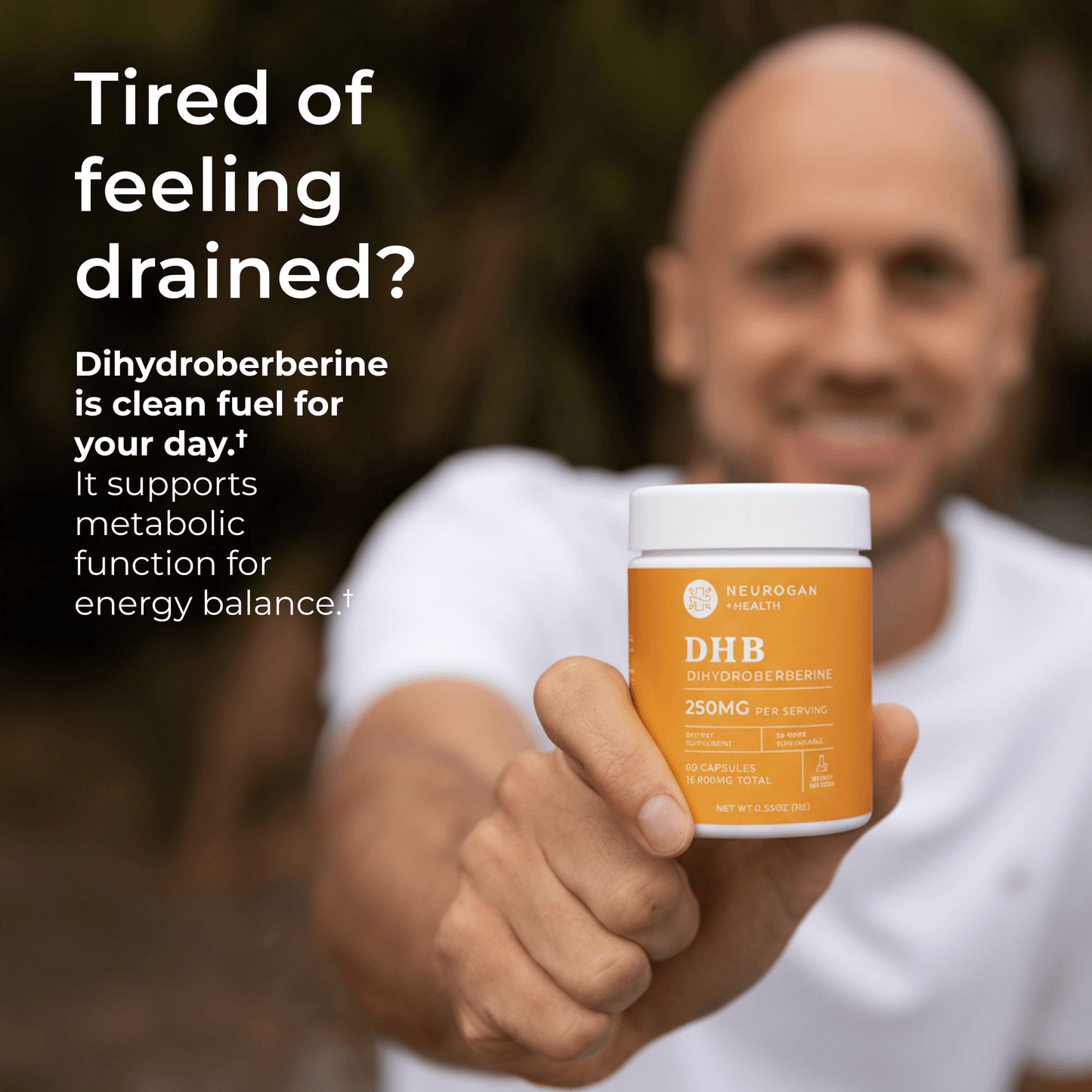 Dihydroberberine Capsules