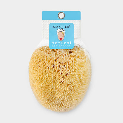 Natural Sea Sponges: Medium
