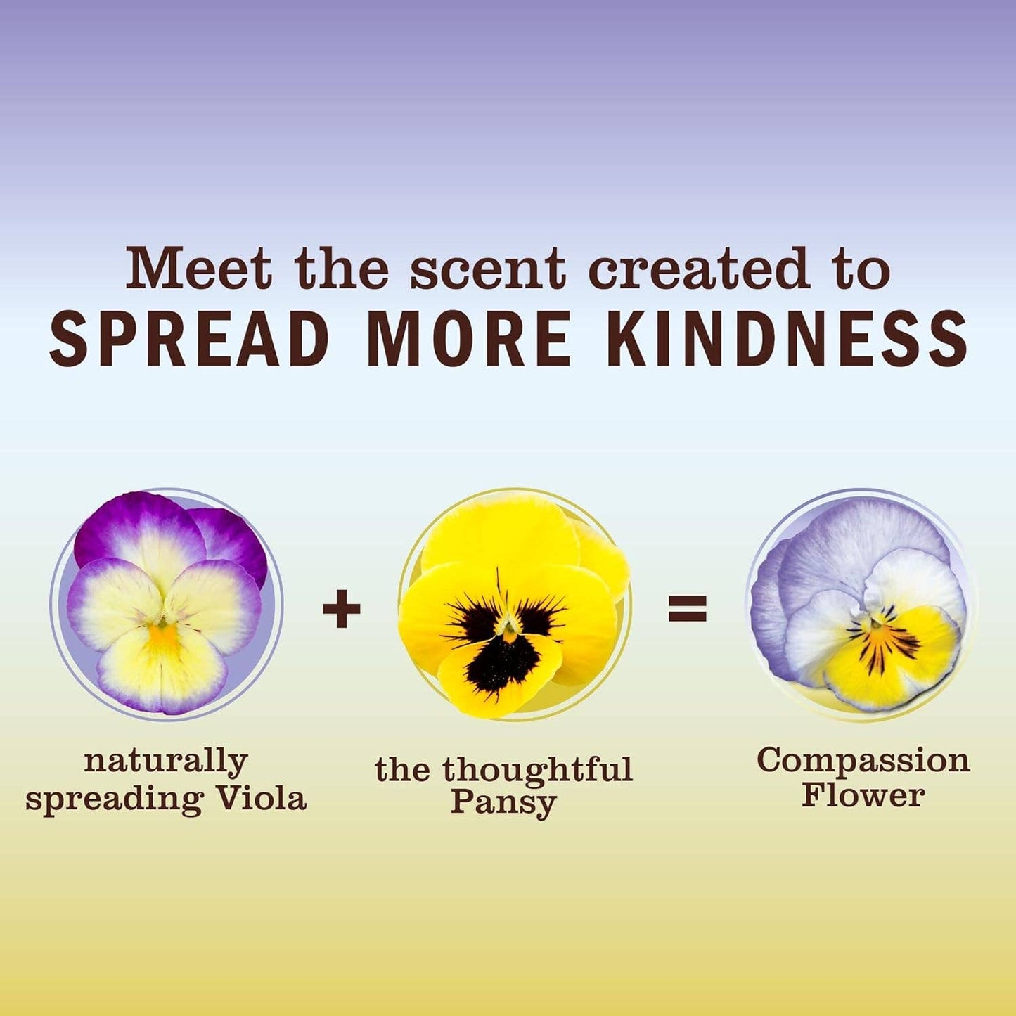 Mrs. Meyer's Candle, Compassion Flower, 7.2oz