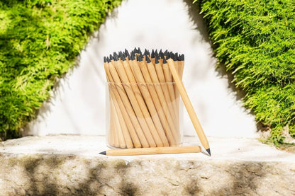 Never Ending Bamboo Pencil | POS | Earth Day Bestseller: Original Modern