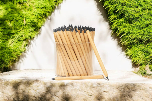 Never Ending Bamboo Pencil | POS | Earth Day Bestseller: Original Modern